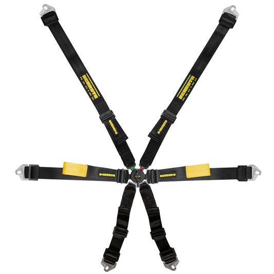 Schroth Enduro 2x2 Harness